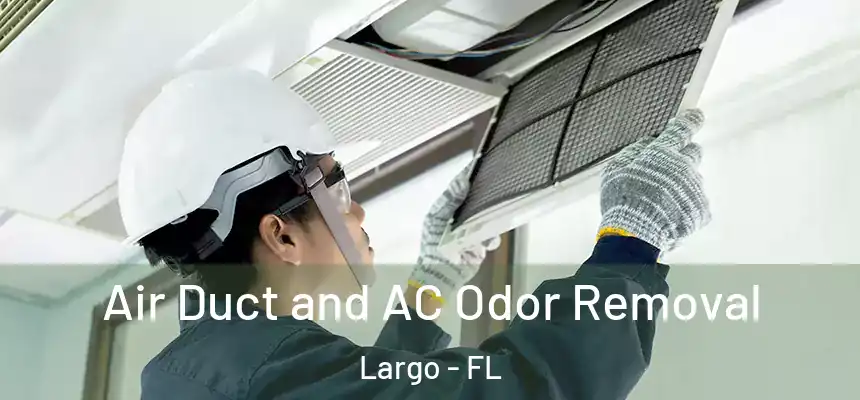 Air Duct and AC Odor Removal Largo - FL