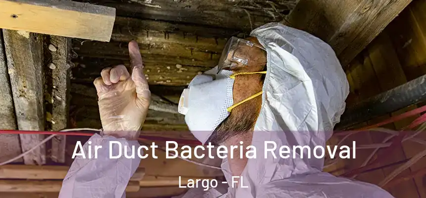 Air Duct Bacteria Removal Largo - FL