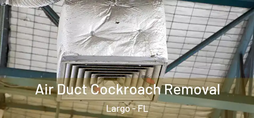 Air Duct Cockroach Removal Largo - FL