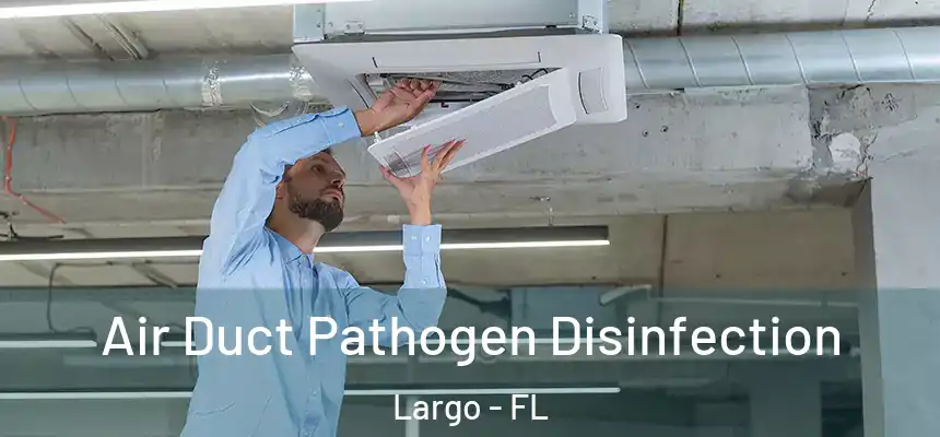 Air Duct Pathogen Disinfection Largo - FL