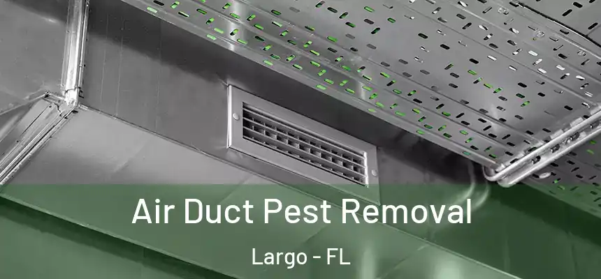 Air Duct Pest Removal Largo - FL