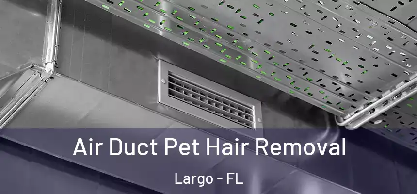 Air Duct Pet Hair Removal Largo - FL