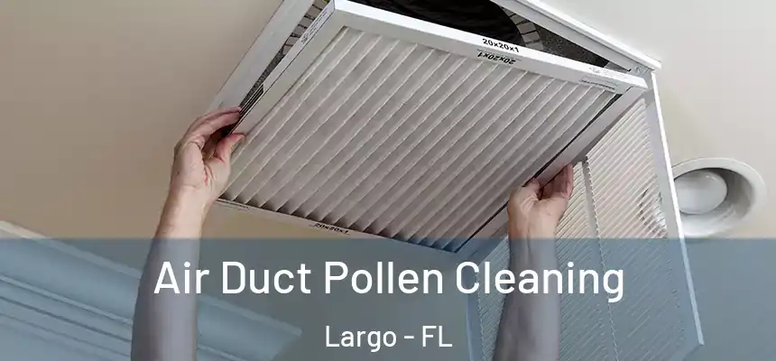 Air Duct Pollen Cleaning Largo - FL