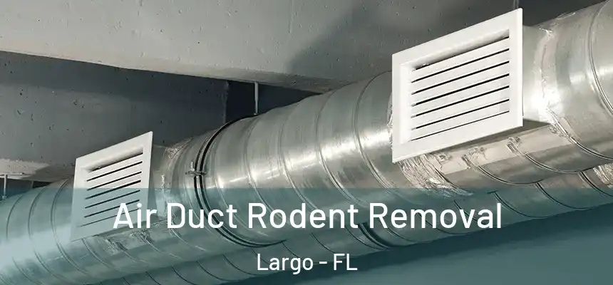 Air Duct Rodent Removal Largo - FL
