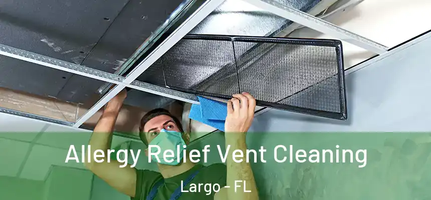 Allergy Relief Vent Cleaning Largo - FL