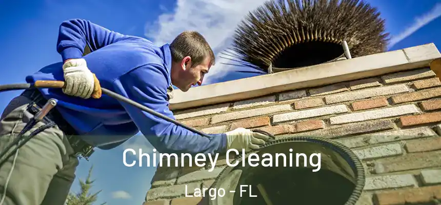 Chimney Cleaning Largo - FL