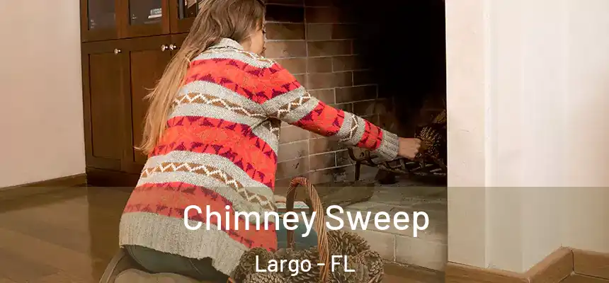 Chimney Sweep Largo - FL
