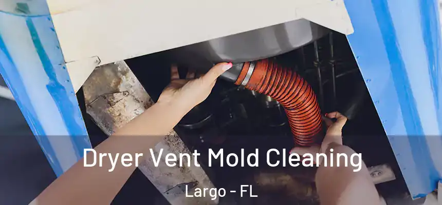 Dryer Vent Mold Cleaning Largo - FL