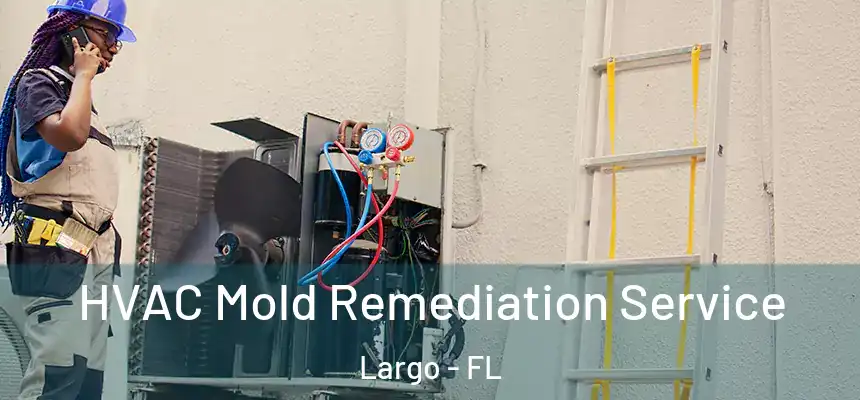 HVAC Mold Remediation Service Largo - FL