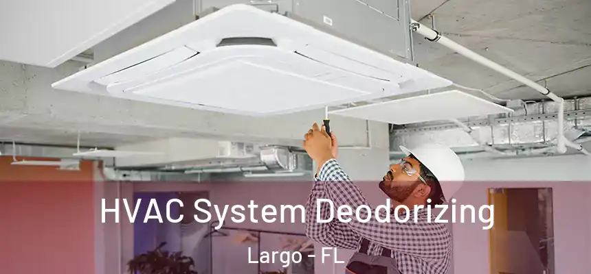 HVAC System Deodorizing Largo - FL