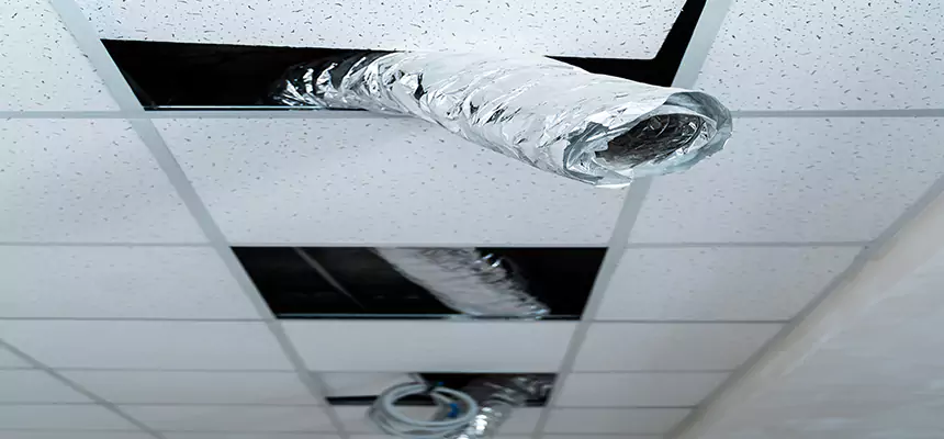 Affordable HVAC Sanitizing After Pest Removal in Largo