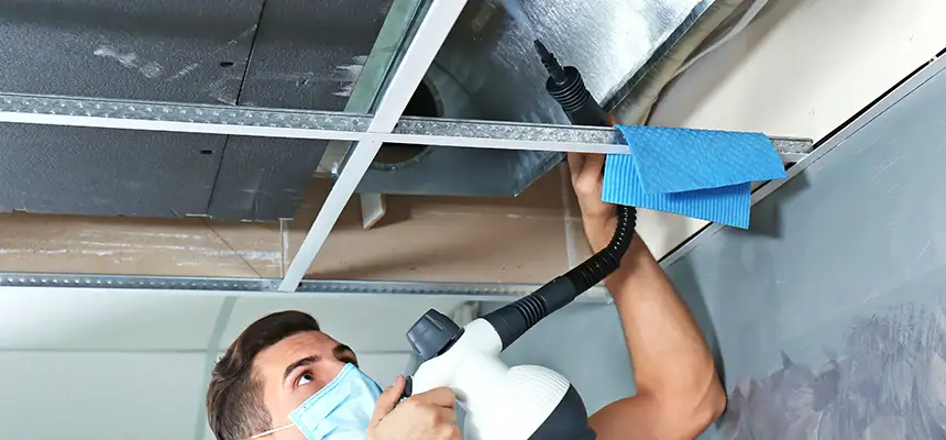 Our Air Duct Rodent Removal Services in Largo, FL