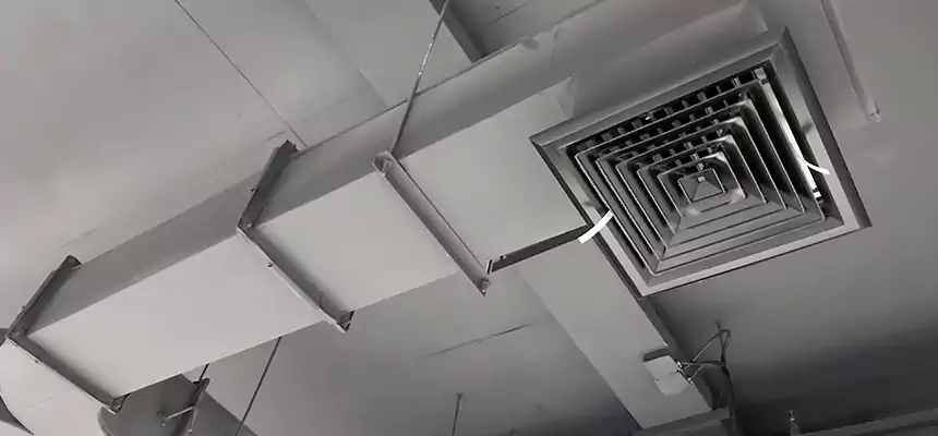 Restorative Allergy Relief Vent Cleaning – Coil, Blower & Housing Detail in Largo