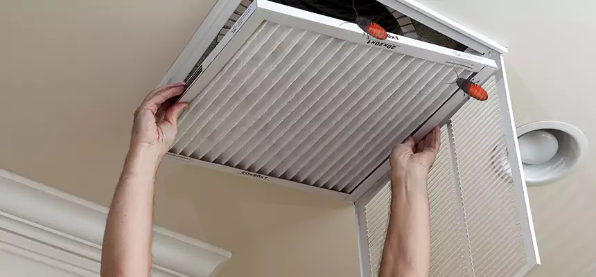 Our Insect Removal from Air Ducts Services in Largo, FL