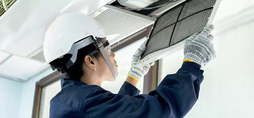 Our Mold & Mildew Removal from Air Ducts Services in Largo, FL