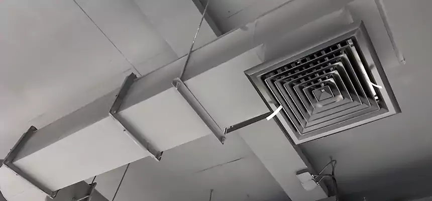 Our Pest Removal From Ducts Services in Largo, FL