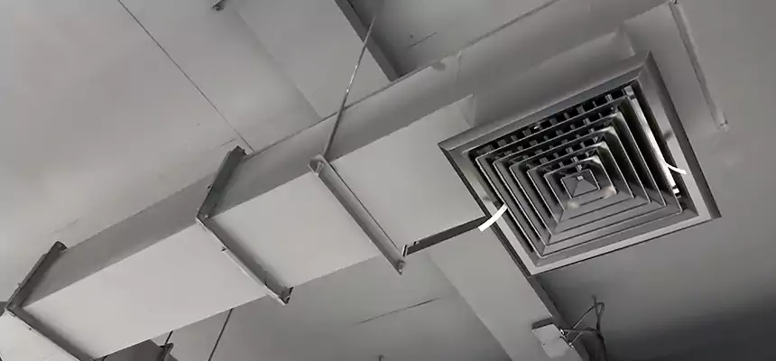 Our Rodent Droppings In Vents Services in Largo, FL
