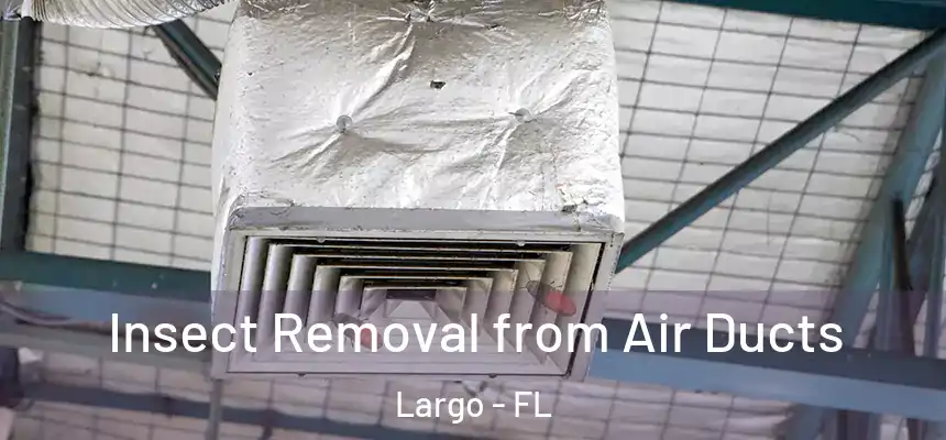 Insect Removal from Air Ducts Largo - FL