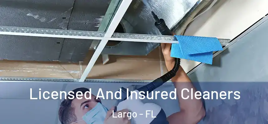 Licensed And Insured Cleaners Largo - FL
