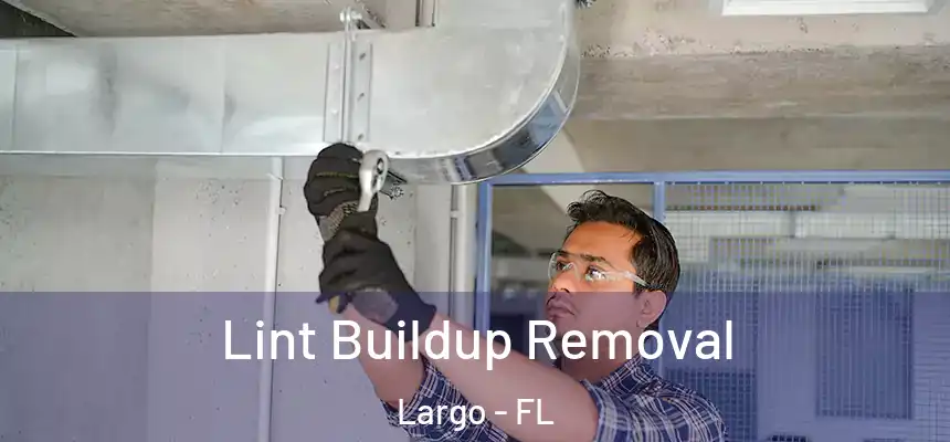 Lint Buildup Removal Largo - FL