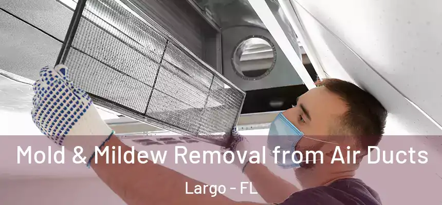 Mold & Mildew Removal from Air Ducts Largo - FL