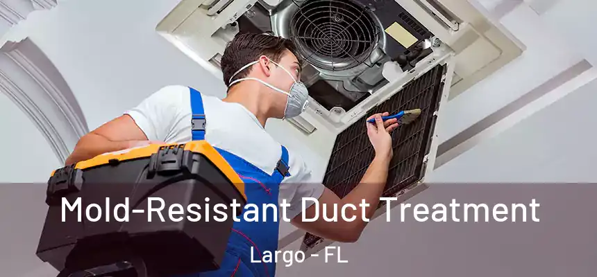 Mold-Resistant Duct Treatment Largo - FL