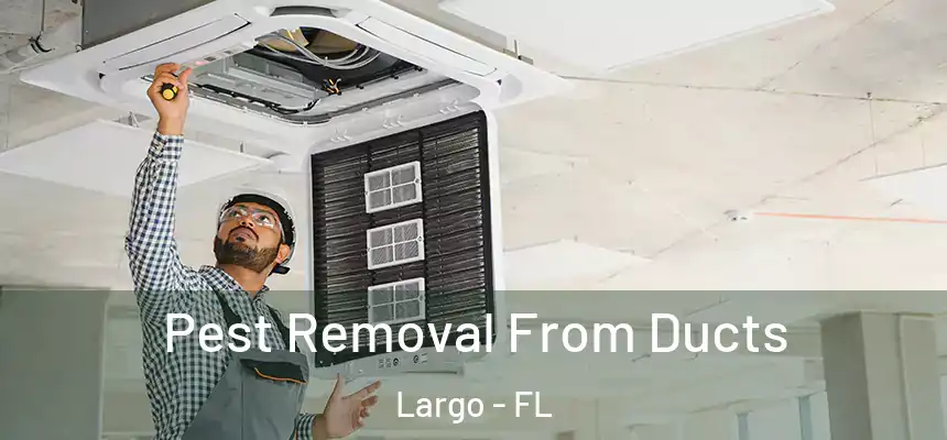 Pest Removal From Ducts Largo - FL
