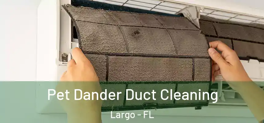 Pet Dander Duct Cleaning Largo - FL