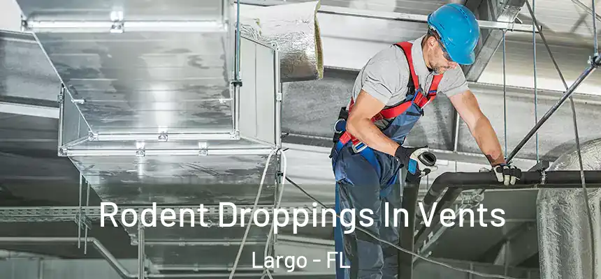 Rodent Droppings In Vents Largo - FL