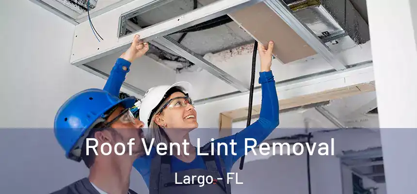 Roof Vent Lint Removal Largo - FL