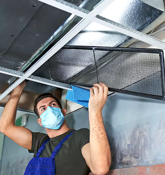 Professional Air Duct Pollen Cleaning in Largo, FL