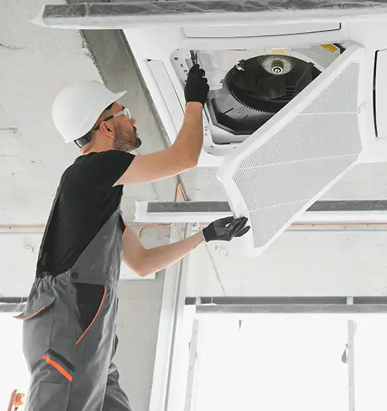 About Air Duct Rodent Removal in Largo, FL