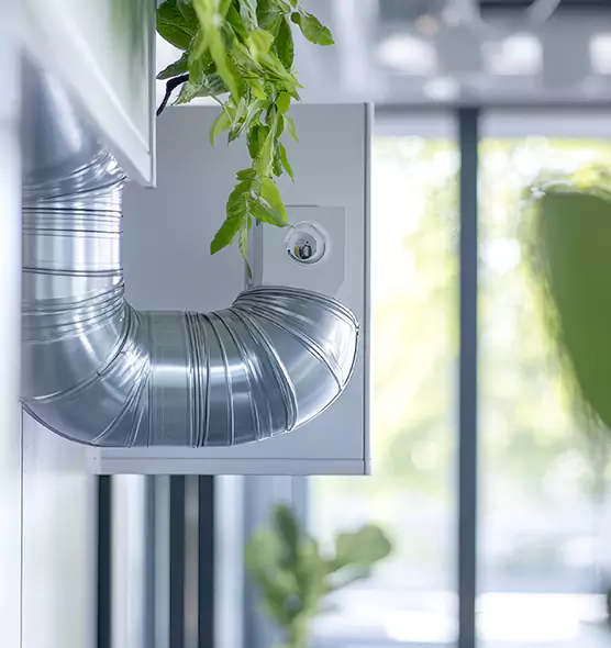 Professional Eco-Friendly Duct Cleaning Services in Largo, FL
