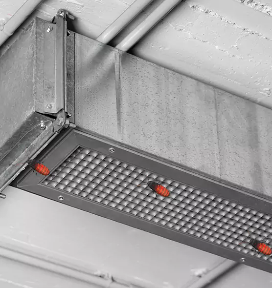 Affordable Insect Removal from Air Ducts in Largo, FL