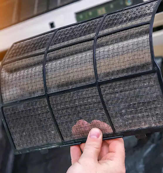 About Pet Dander Duct Cleaning in Largo, FL